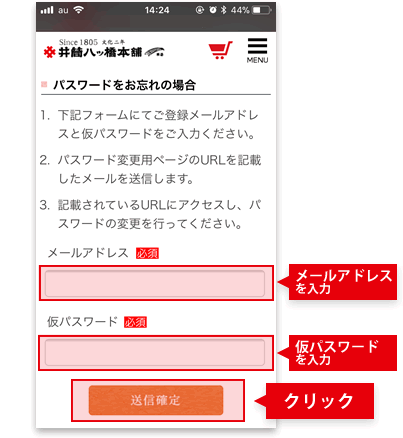 ＜スマホ版＞メールアドレスと仮パスワードを入力して送信確定