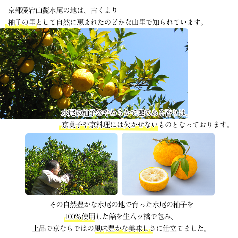 ̗Mq100gp[q Mq̍