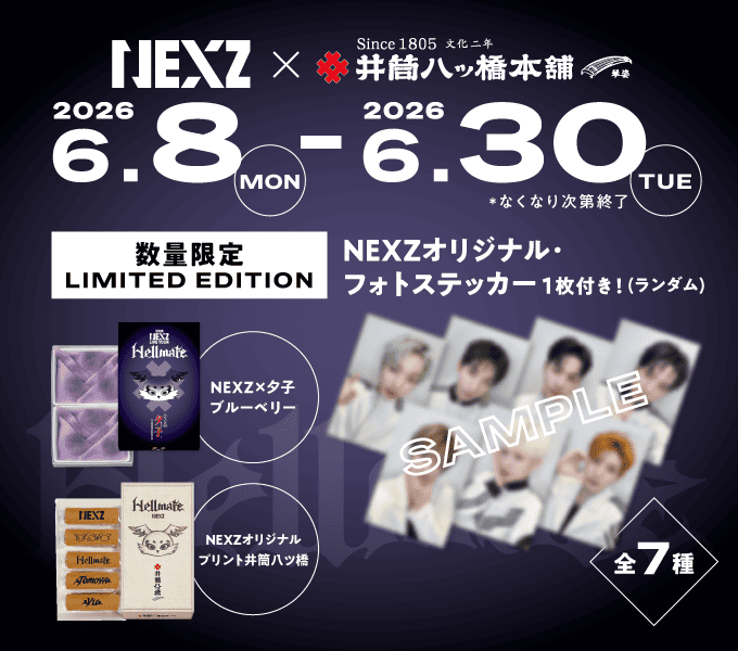 NEXZオリジナル・プリント井筒八ッ橋10枚入（1枚×10袋） 京名物 井筒八